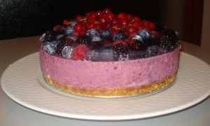 Bavarese ai frutti di bosco