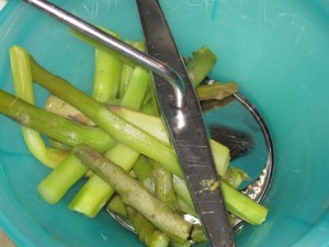 gambi degli asparagi