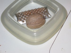 noce moscata
