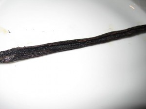 baccello di vaniglia