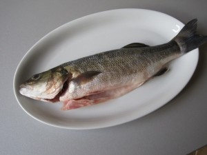 branzino