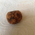 tartufo bianchetto